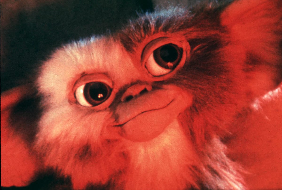 Breaking what rule turns a mogwai into a gremlin?