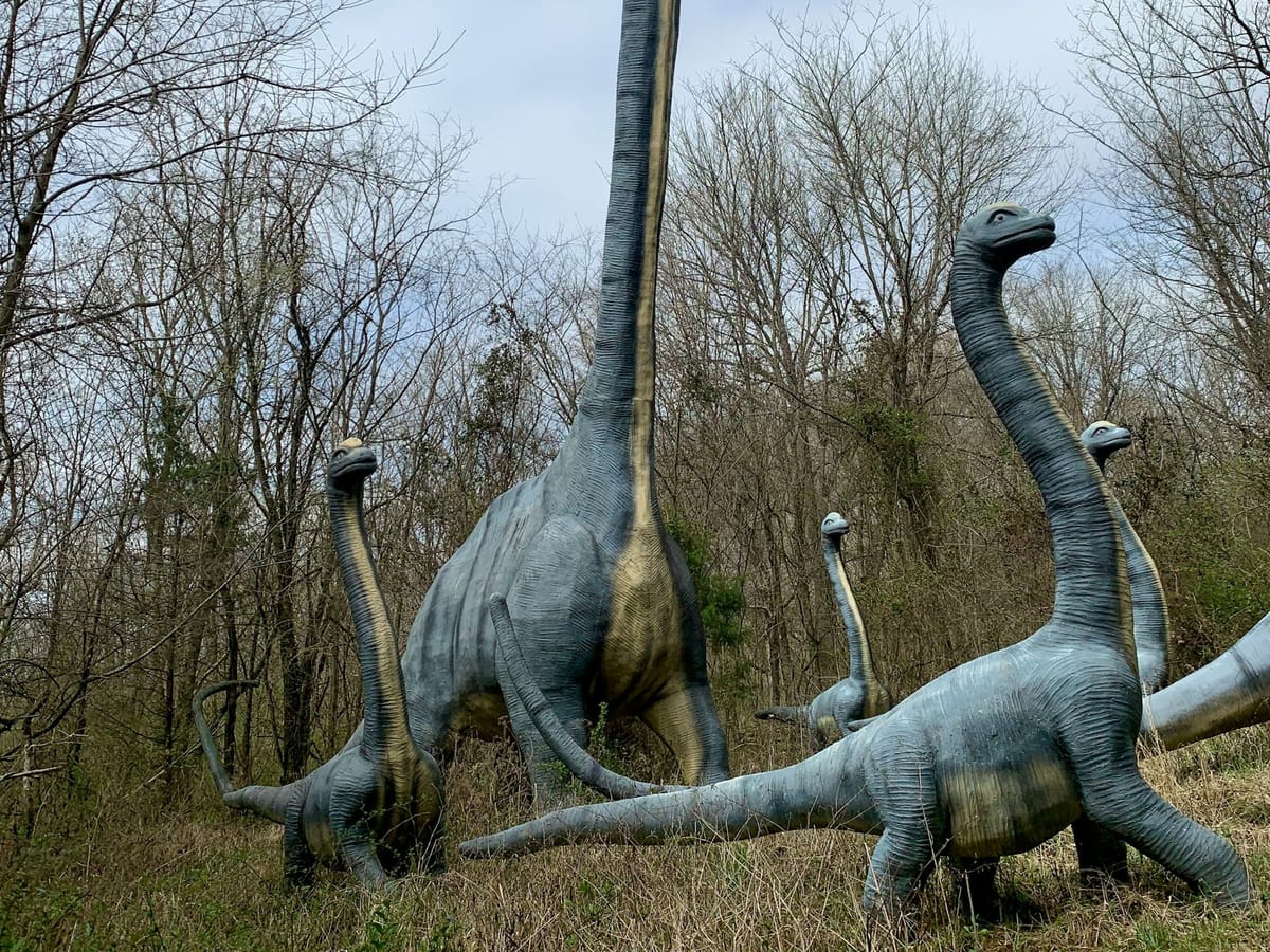 What was the tallest dinosaur?